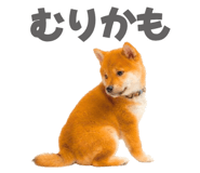 845390275