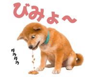 845390276