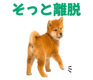 845390277