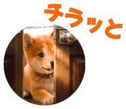845390278