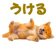 845390279