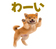 845390280