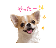 845390377