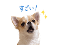 845390378