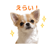 845390383