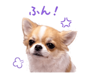 845390386