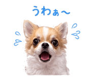 845390388