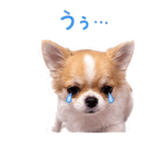 845390389