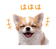 845390390