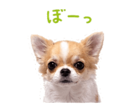 845390391