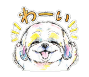 845390581