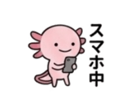 845390769