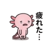 845390772