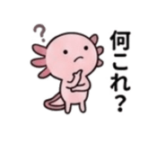 845390787