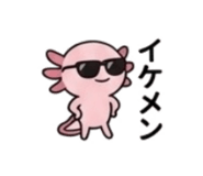 845390793