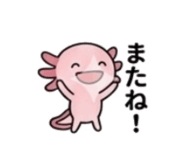 845390808