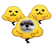 845393212