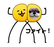 845393214