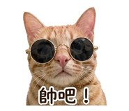 845393280