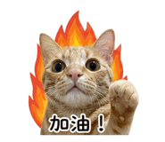 845393282