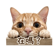 845393290