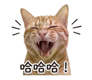 845393293