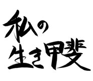 845393394