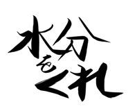 845393397