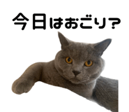 845394008