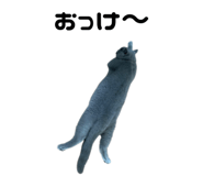 845394015