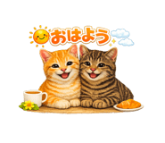 845394342