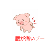 845395637