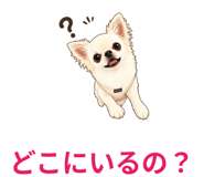 845395903