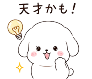 845396048