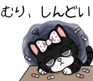 845396252