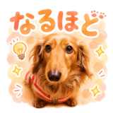 845396691
