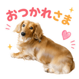 845396705