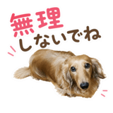 845396706