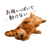 845396709