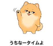 845396795
