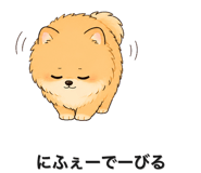 845396800