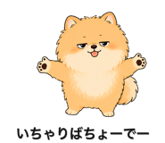 845396801