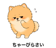 845396806
