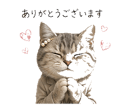 845396810