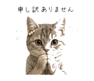 845396811