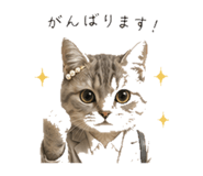 845396812