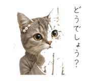 845396817