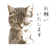 845396822