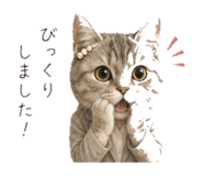 845396824