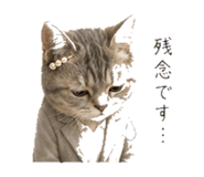 845396826